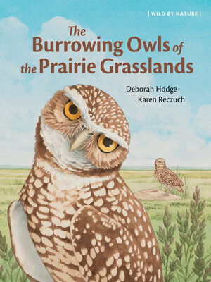 cover image of The Burrowing Owls of the Prairie Grasslands